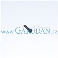 Screw M4 (10009103)