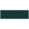 Vyšívací nit Silk 1789 - 120/D2  (5000m návin) viskóza